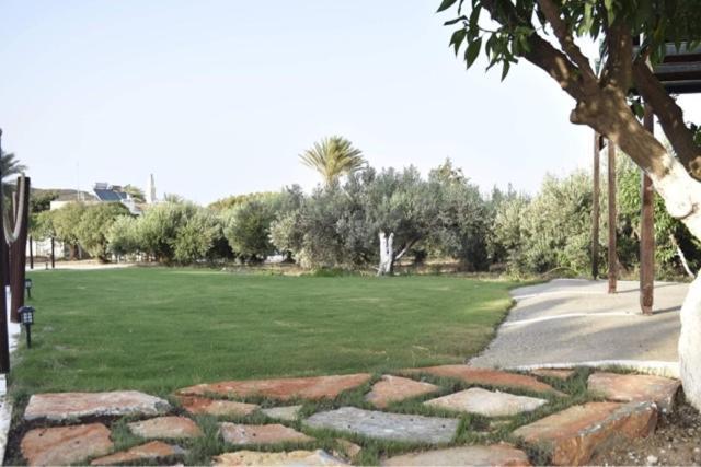 Kouremenos Beach Apartments Palekastro Dış mekan fotoğraf