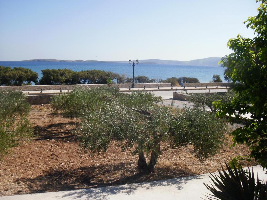 Kouremenos Beach Apartments Palekastro Dış mekan fotoğraf