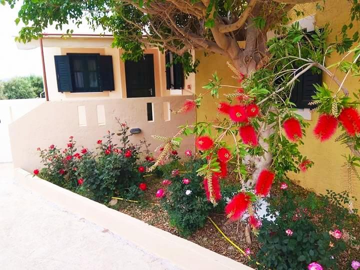 Kouremenos Beach Apartments Palekastro Dış mekan fotoğraf
